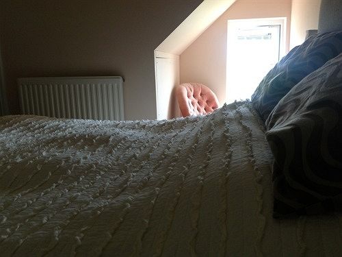 Pension (Hôtel basse catégorie) Swallows Rest 14