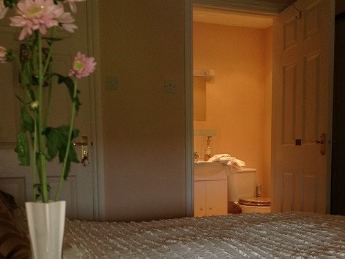 Pension (Hôtel basse catégorie) Swallows Rest 5