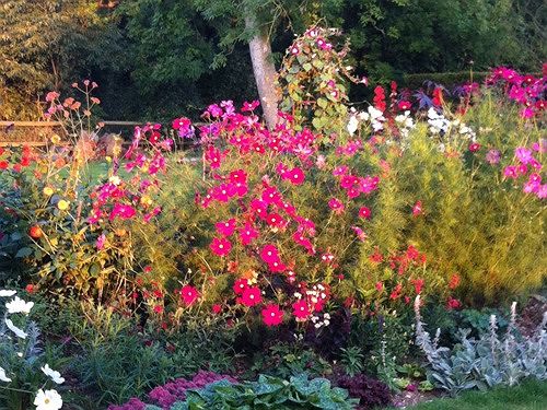 Bed and Breakfast Gunville House 5