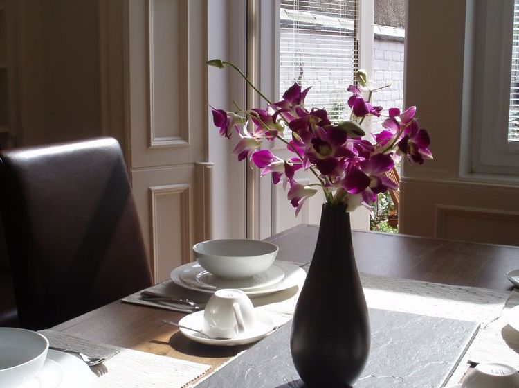 Bed and Breakfast Millers 64