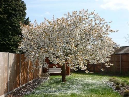 Hôtel Medlar House 8