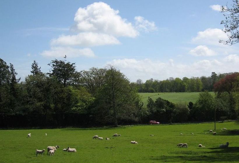 Bed and Breakfast 32 The Green 2