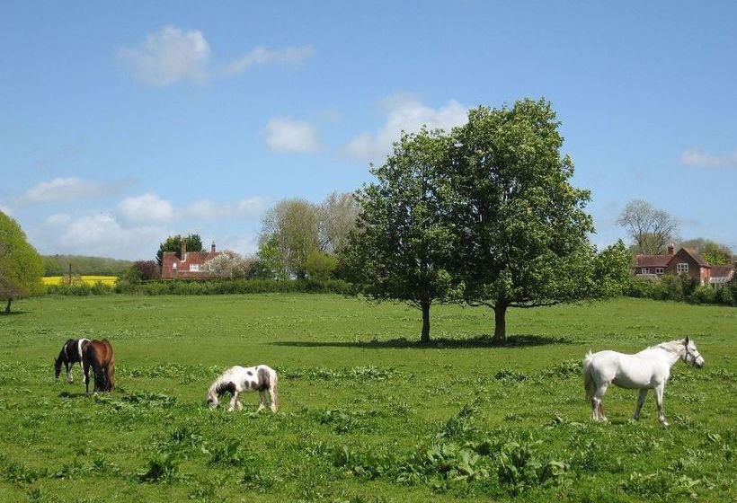 Bed and Breakfast 32 The Green 3