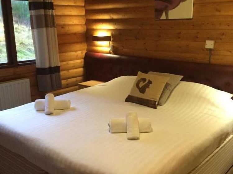 Pension The Pinetree Lodge 11