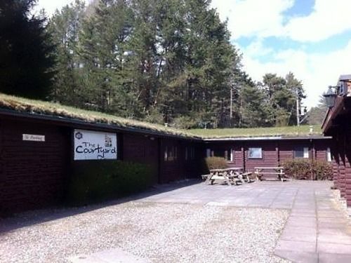 Pension The Pinetree Lodge 16