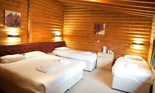 Pension The Pinetree Lodge 18