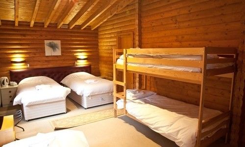 Pension The Pinetree Lodge 19