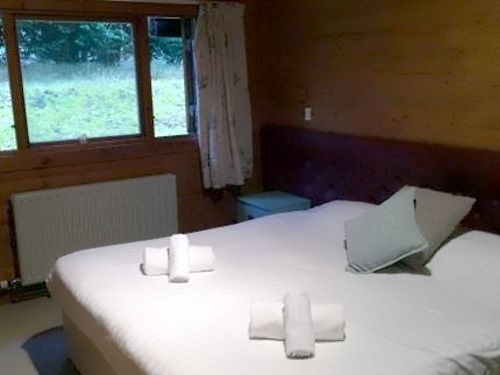 Pension The Pinetree Lodge 20