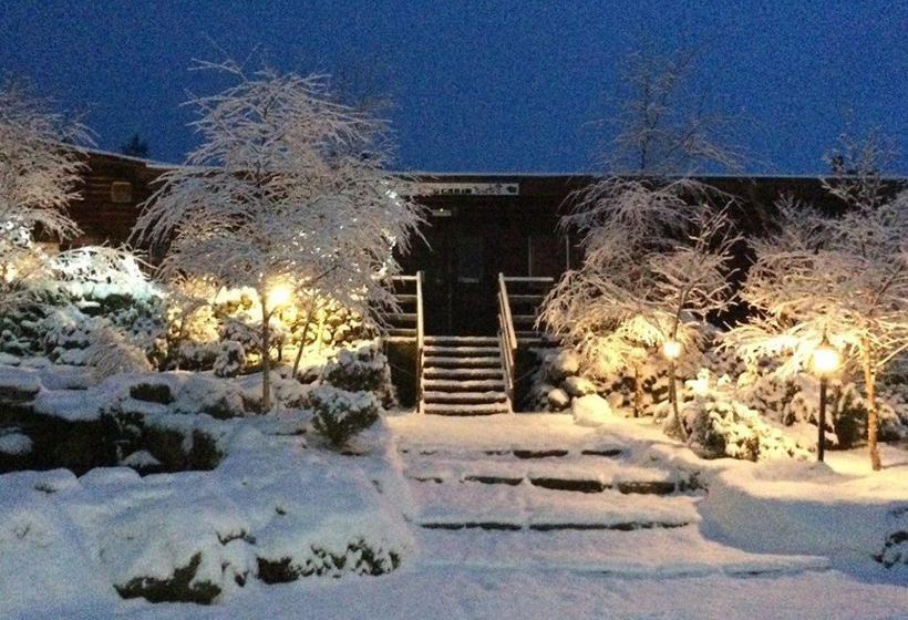 Pension The Pinetree Lodge 3