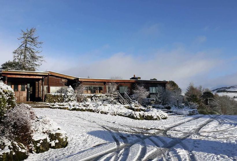 Pension The Pinetree Lodge 4