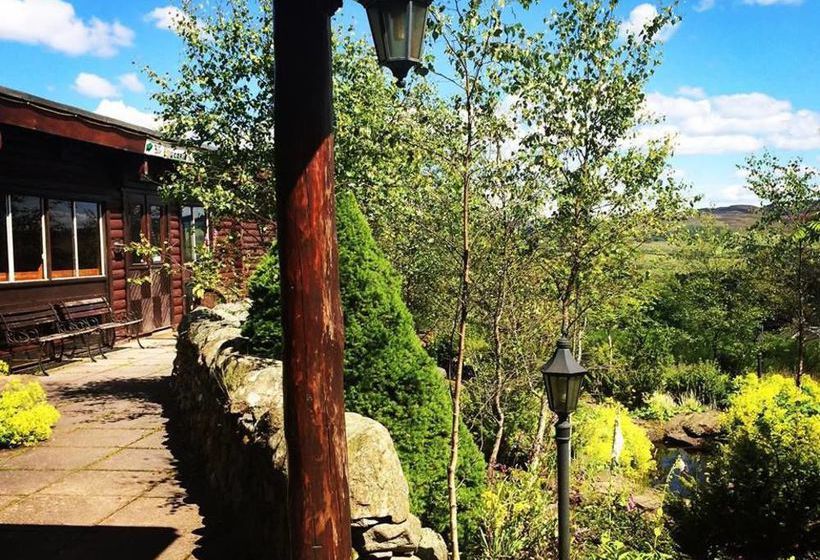 Pension The Pinetree Lodge 5