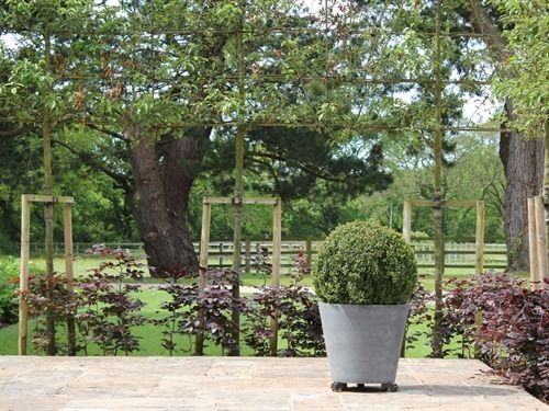 Pensione Kingfishers 7