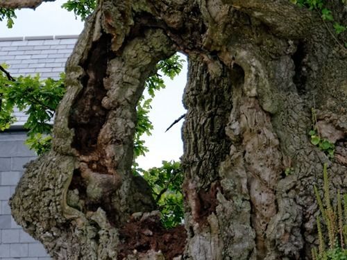 Bed & Breakfast The Threshing House 8