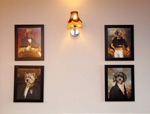 Hôtel The Dog In A Doublet 9