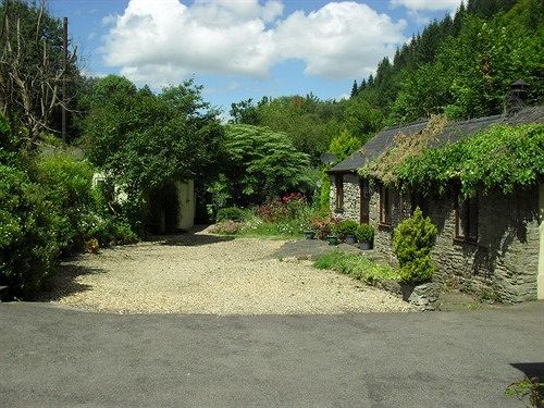 Bed & Breakfast Ferndale House 2