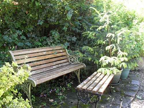 Bed & Breakfast Ferndale House 3