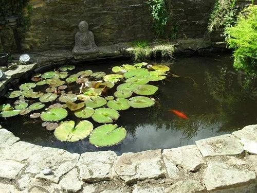 Bed & Breakfast Ferndale House 4