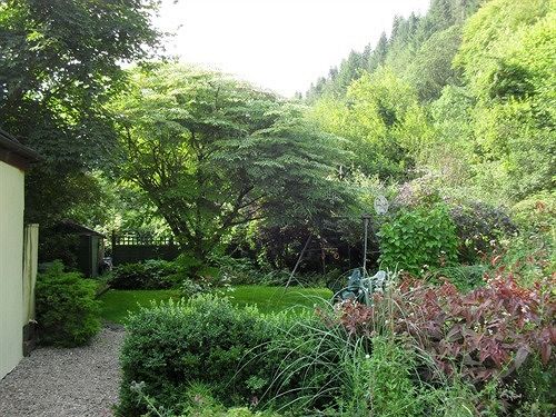 Bed & Breakfast Ferndale House 6