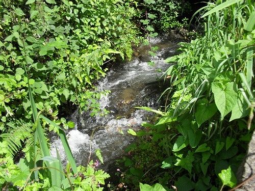 Bed & Breakfast Ferndale House 9