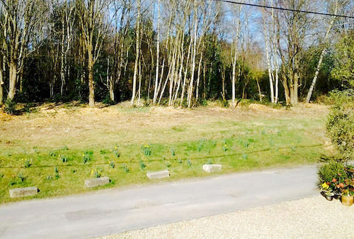 Abacus Bed And Breakfast 9