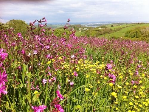 Hôtel The Liscawn 10