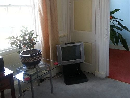 Bed & Breakfast Vs King William 14