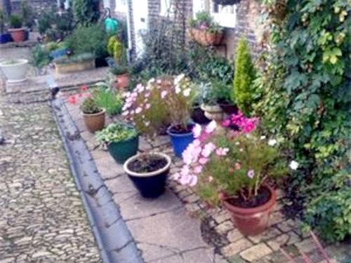 Bed & Breakfast Vs King William 2