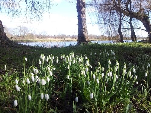 Riverside House B&b 8