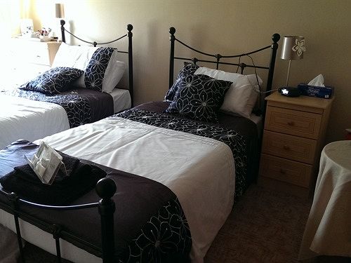 Hotel Collins Arms 3