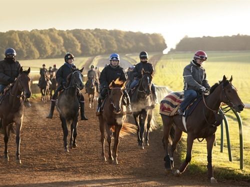 Newmarket Boutique Apartments 19