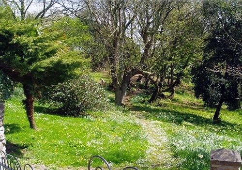 Hôtel Friary Manor 10