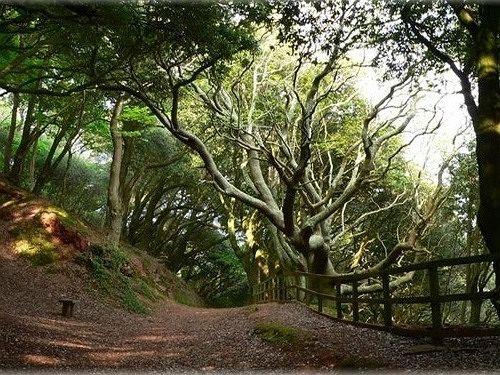 Hôtel Friary Manor 4