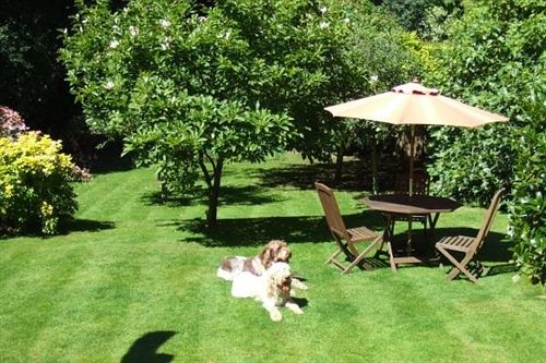 Overglen Court Bed & Breakfast 7