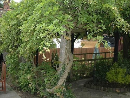 Hotel The Red Lion 17