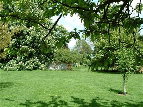 Bed and Breakfast Dadmans 10