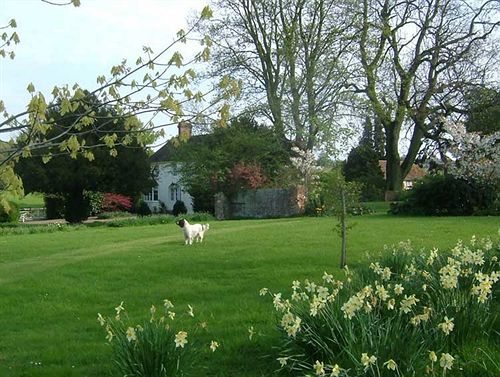 Bed and Breakfast Dadmans 12