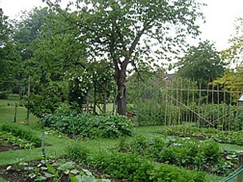 Bed and Breakfast Dadmans 13