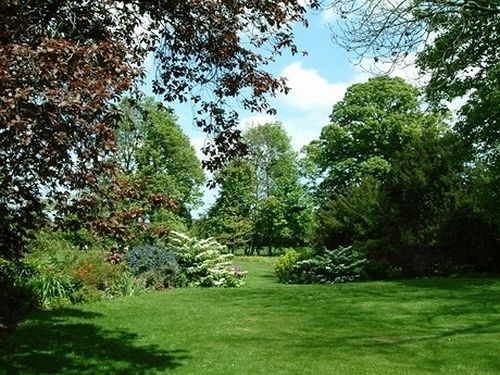 Bed and Breakfast Dadmans 14