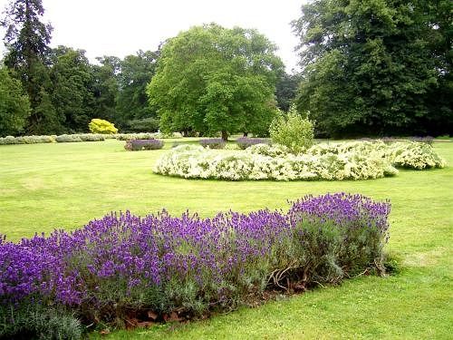 Bed and Breakfast Thornham Hall 2