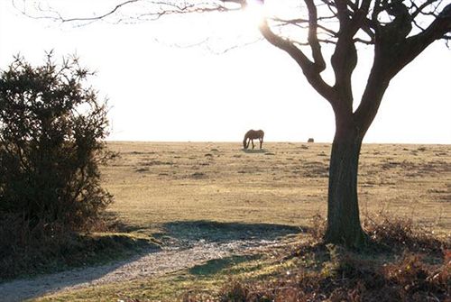 Hotel The Cliff House 13