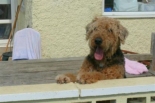 Hotel The Cliff House 18