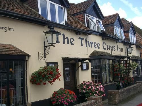 Hotel The Three Cups Inn