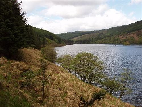 Hotel House O Hill 3