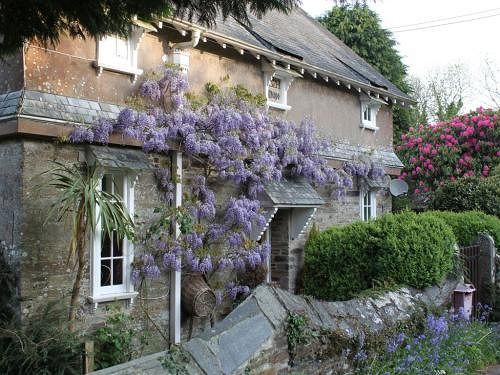Cornish Cottage