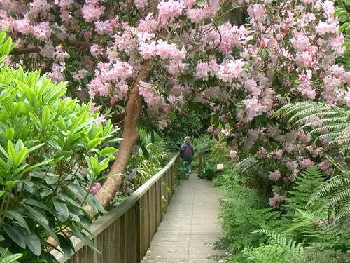 Bed and Breakfast Ancient Shipbrokers 20