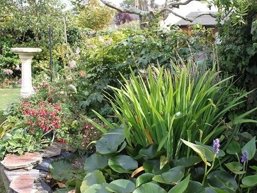 Bed and Breakfast Avon Breeze 5