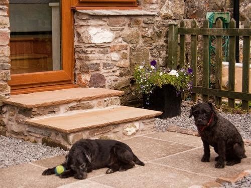 Bed and Breakfast Ghyll Farm 7