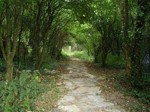 Bed & Breakfast Millers House 19