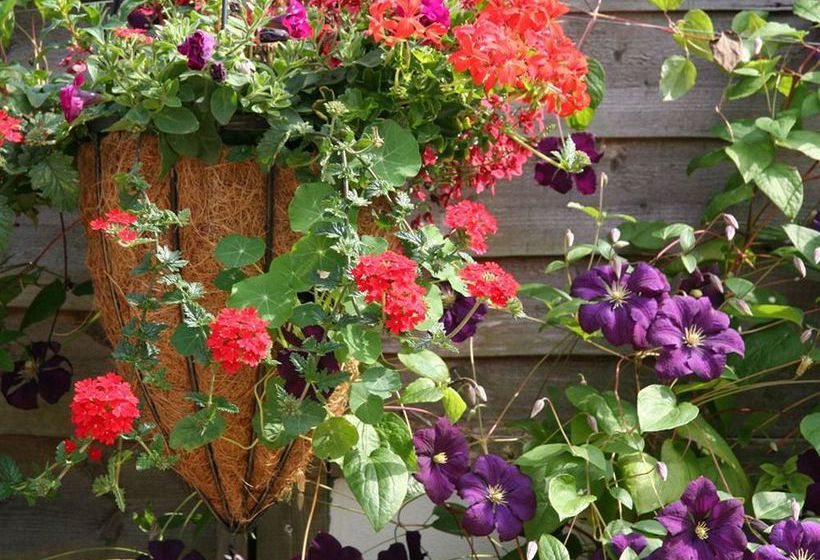 Pensione Reepham House 1