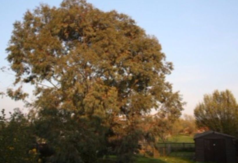 The Old School B&b 12